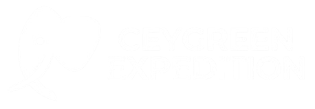 CeyGreen Logo