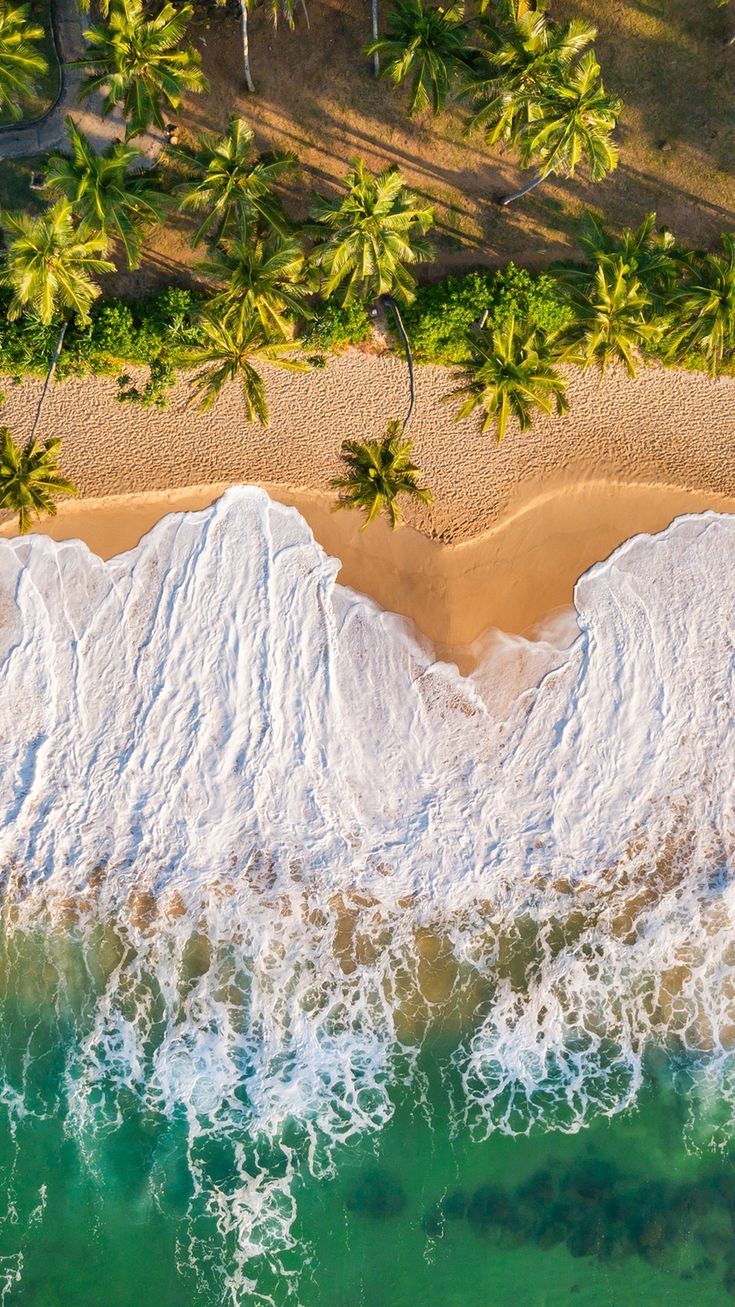 Unawatuna Beach – A Tropical Haven Near Galle