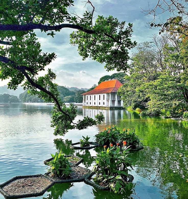 Kandy Lake (Kiri Muhuda) A Tranquil Heart of the City