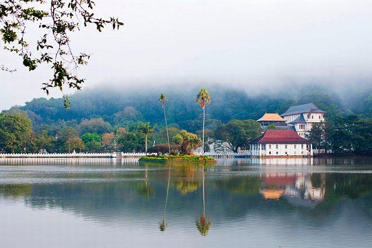 Kandy Lake (Kiri Muhuda) A Tranquil Heart of the City