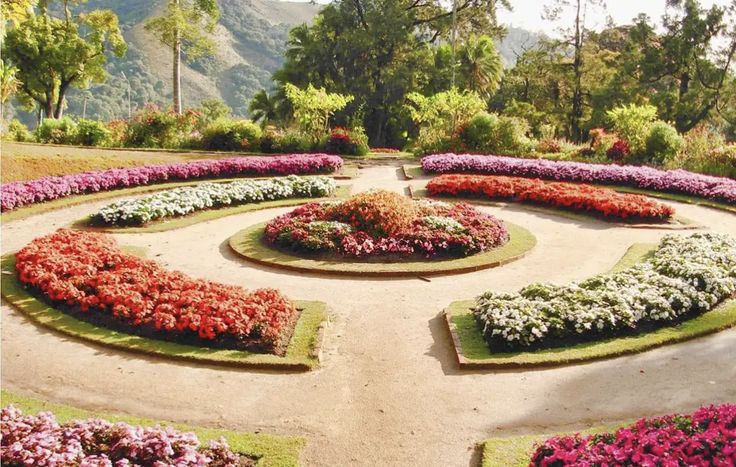 Hakgala Botanical Garden Nature’s Blooming Masterpiece