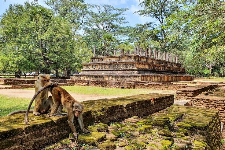 Royal Palace of Polonnaruwa