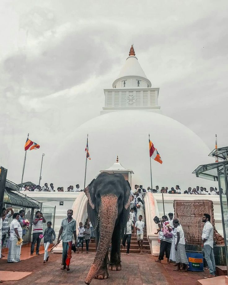 Kiri Vehera The Sacred White Stupa of Kataragama