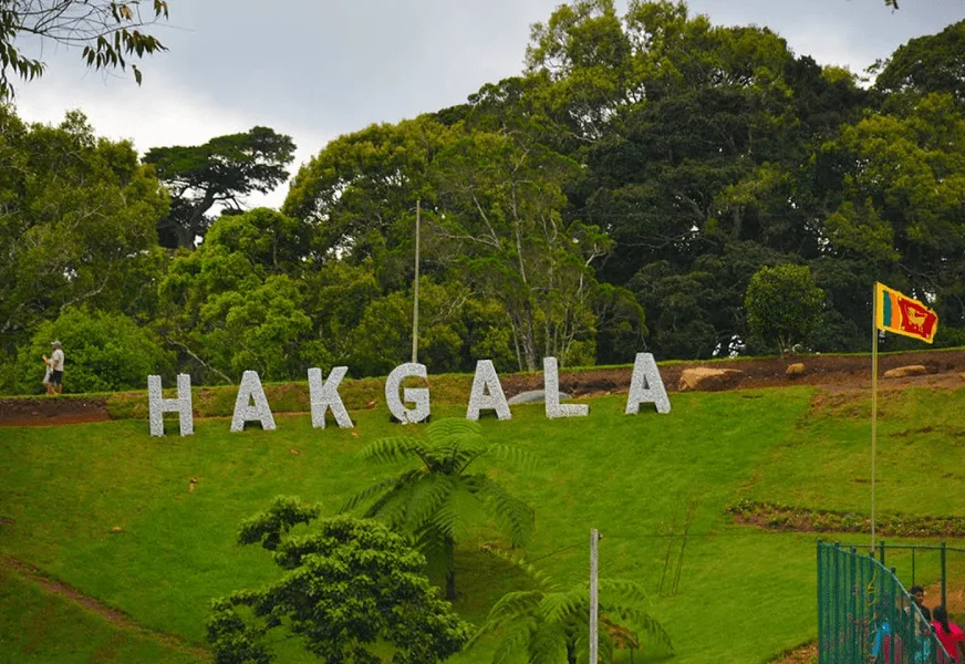 Hakgala Botanical Garden  Nature’s Blooming Masterpiece