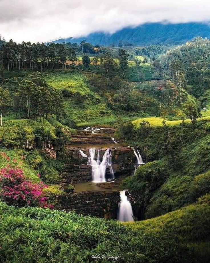 Nuwara Eliya
