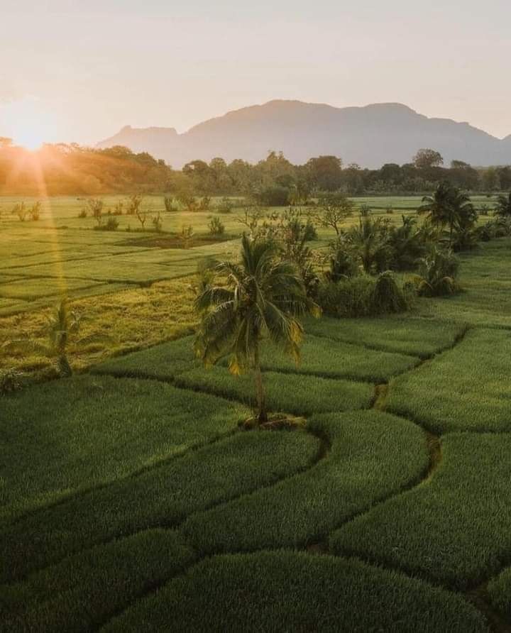 Dambulla / Sigiriya