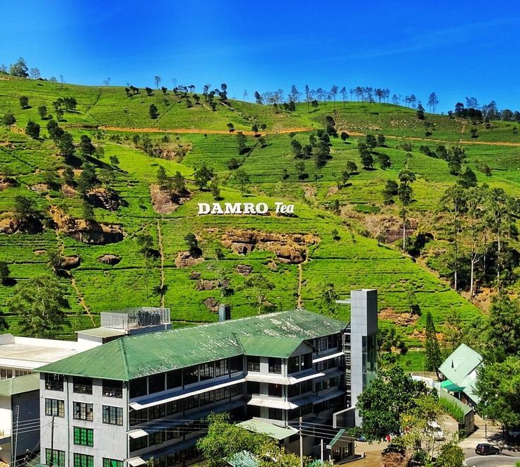 Sacred Peaks & Seaside Dreams: 9 Days Through Sri Lanka’s Soul