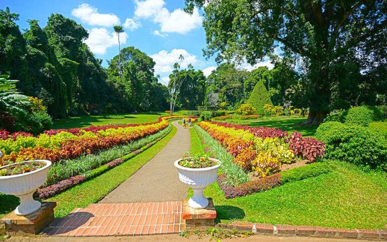 Botanical Garden - Kandy